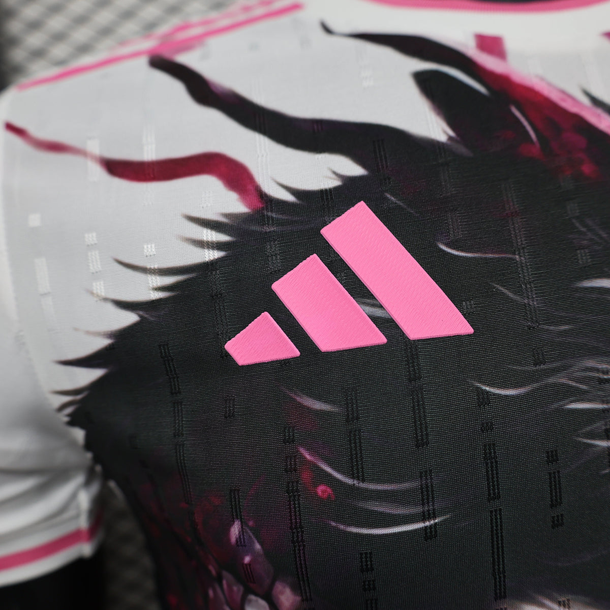 Japan "Dragon de Fuji" special kit